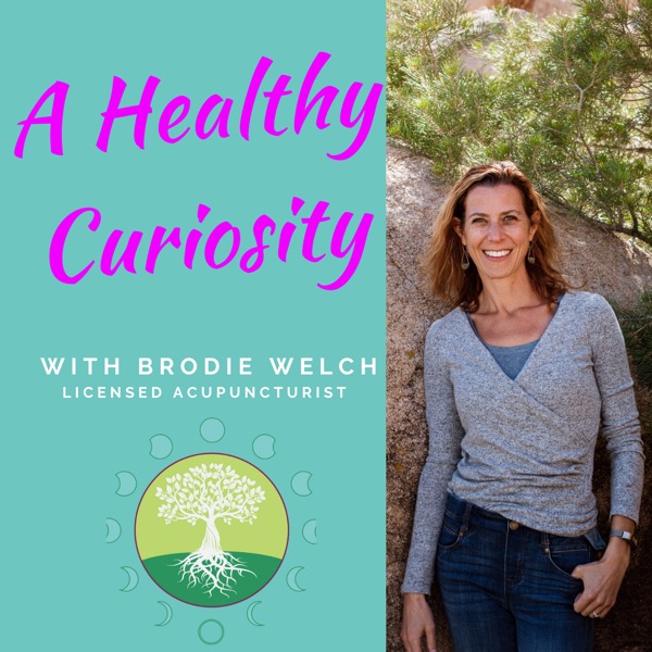 A Healthy Curiosity cover art